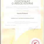 Certif_ICF 001